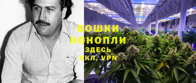 купить наркотик  Белинский  Каннабис Ganja 